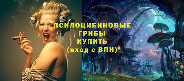 PSILOCYBIN Баксан