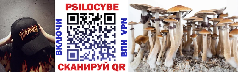 Псилоцибиновые грибы Psilocybe  хочу наркоту  Бобров 